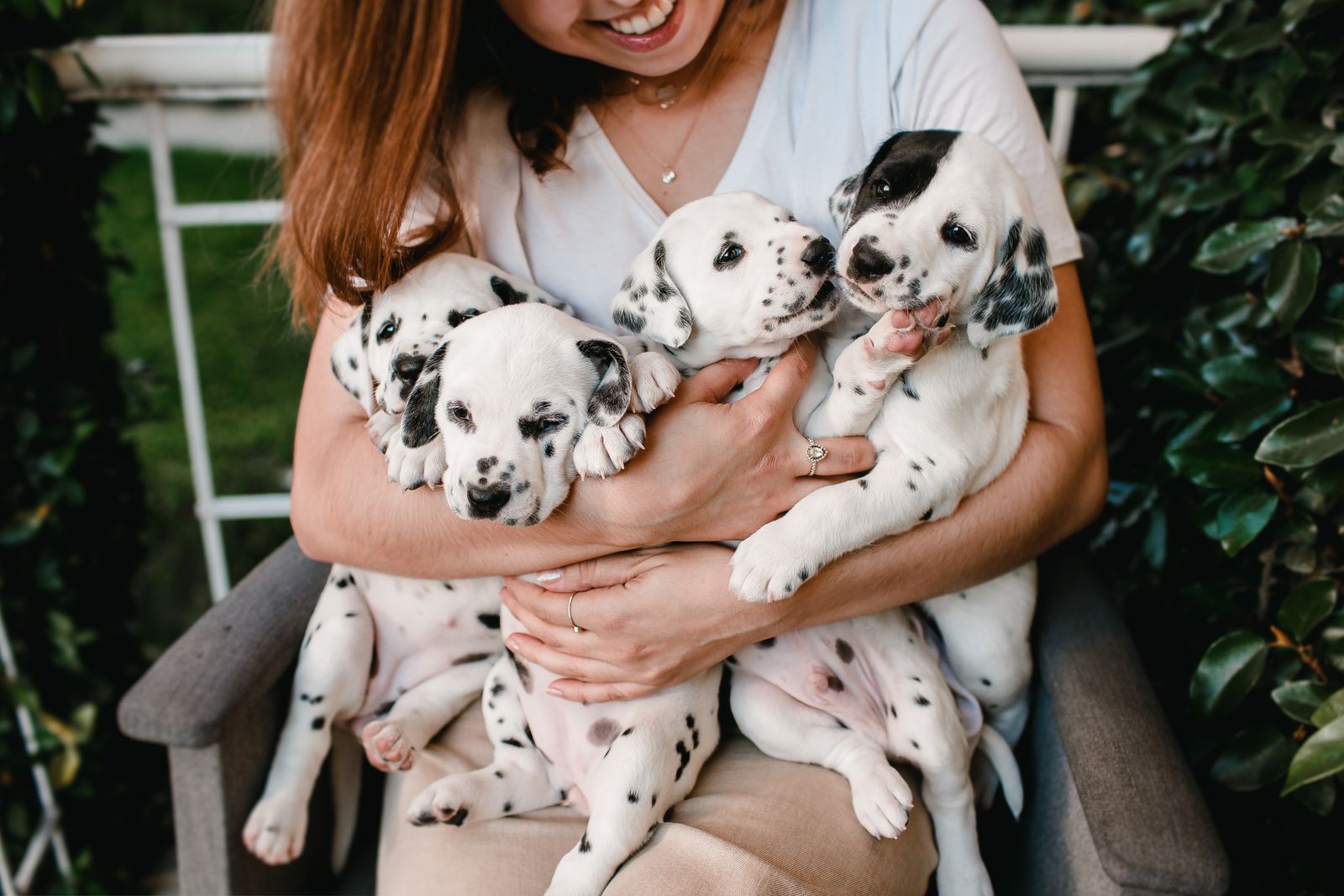 An adult gently holding a small puppy
